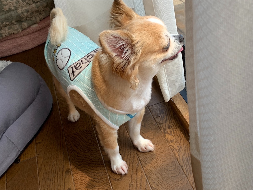 f:id:boogie-box:20190817093615j:image