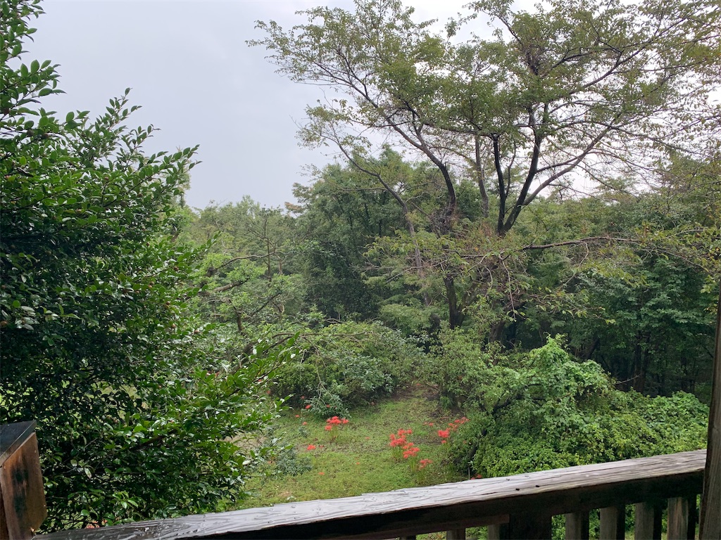 f:id:boogie-box:20190913220916j:image