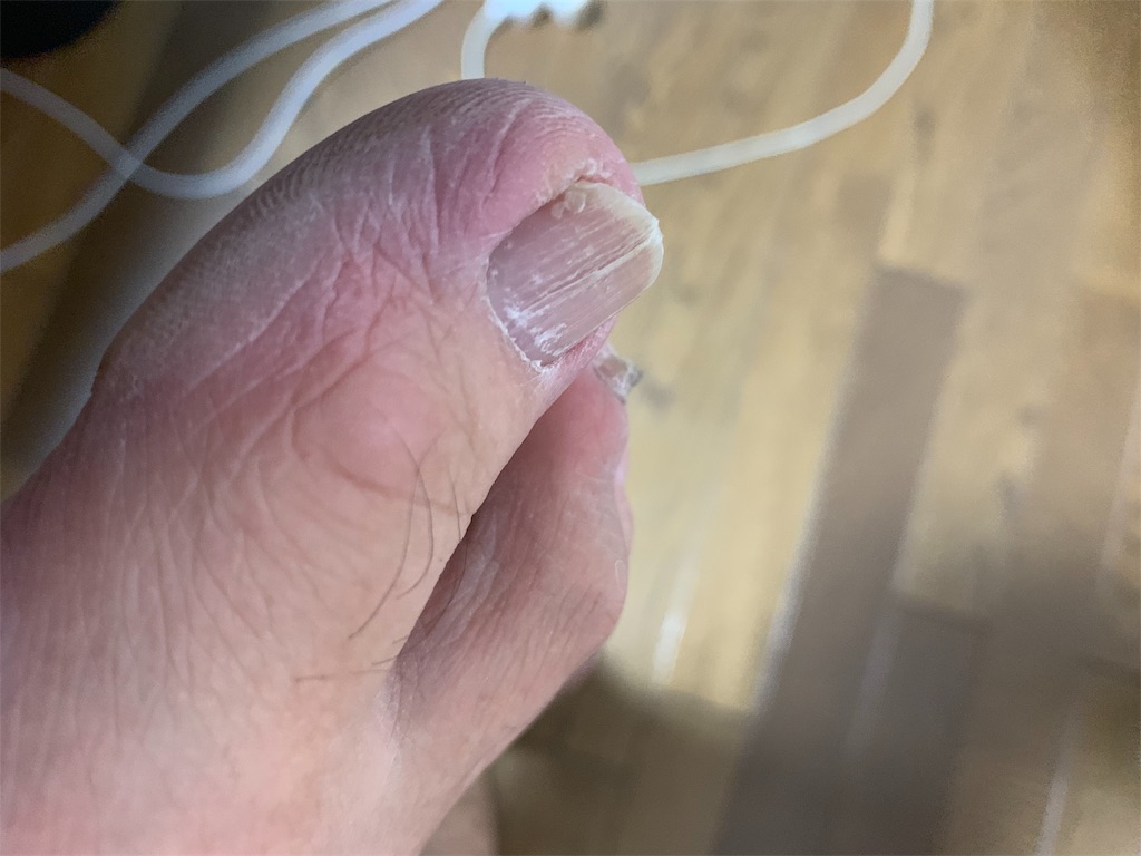 f:id:boogie-box:20190923201159j:image