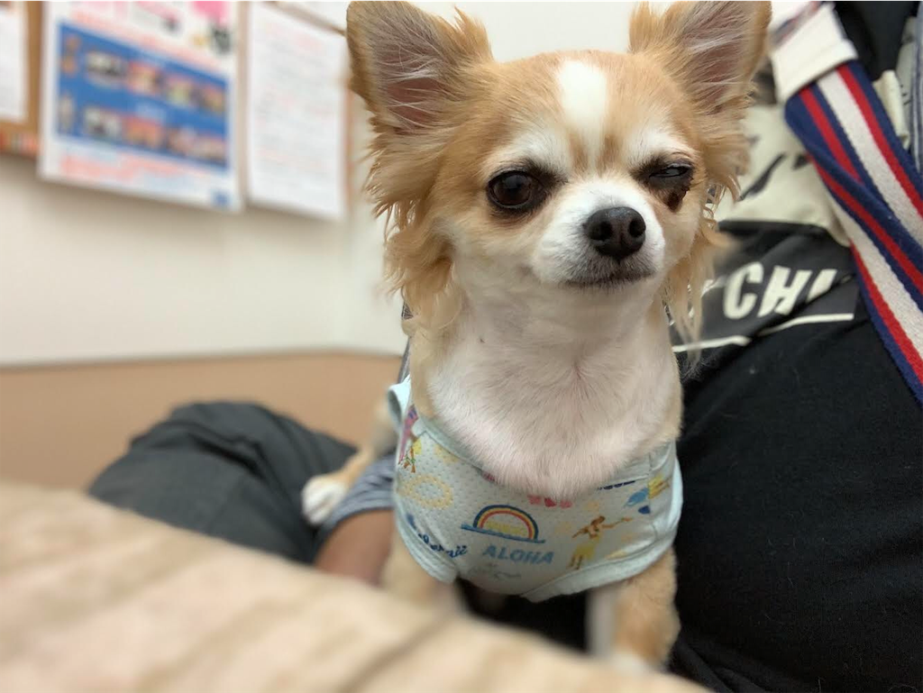 f:id:boogie-box:20191008211713p:image
