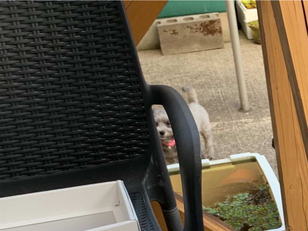 f:id:boogie-box:20191030105828j:image