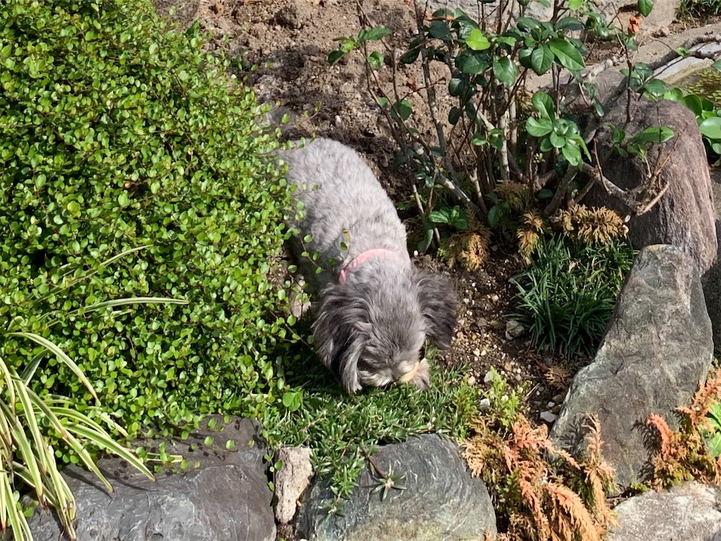 f:id:boogie-box:20191103113520j:image