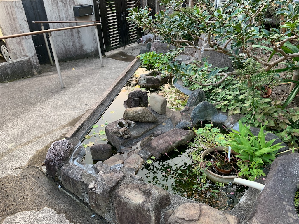 f:id:boogie-box:20191104113506j:image