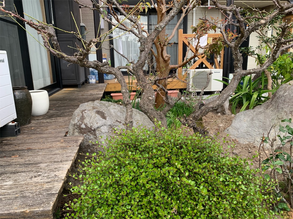 f:id:boogie-box:20191105131640j:image