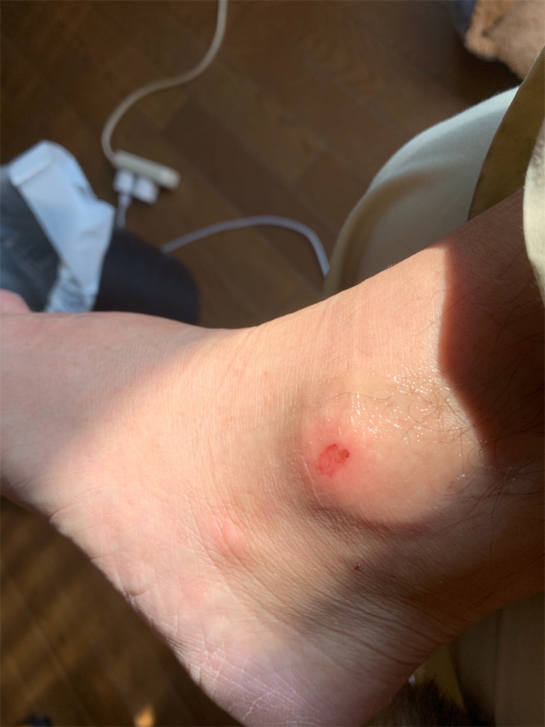 f:id:boogie-box:20191106205920j:image