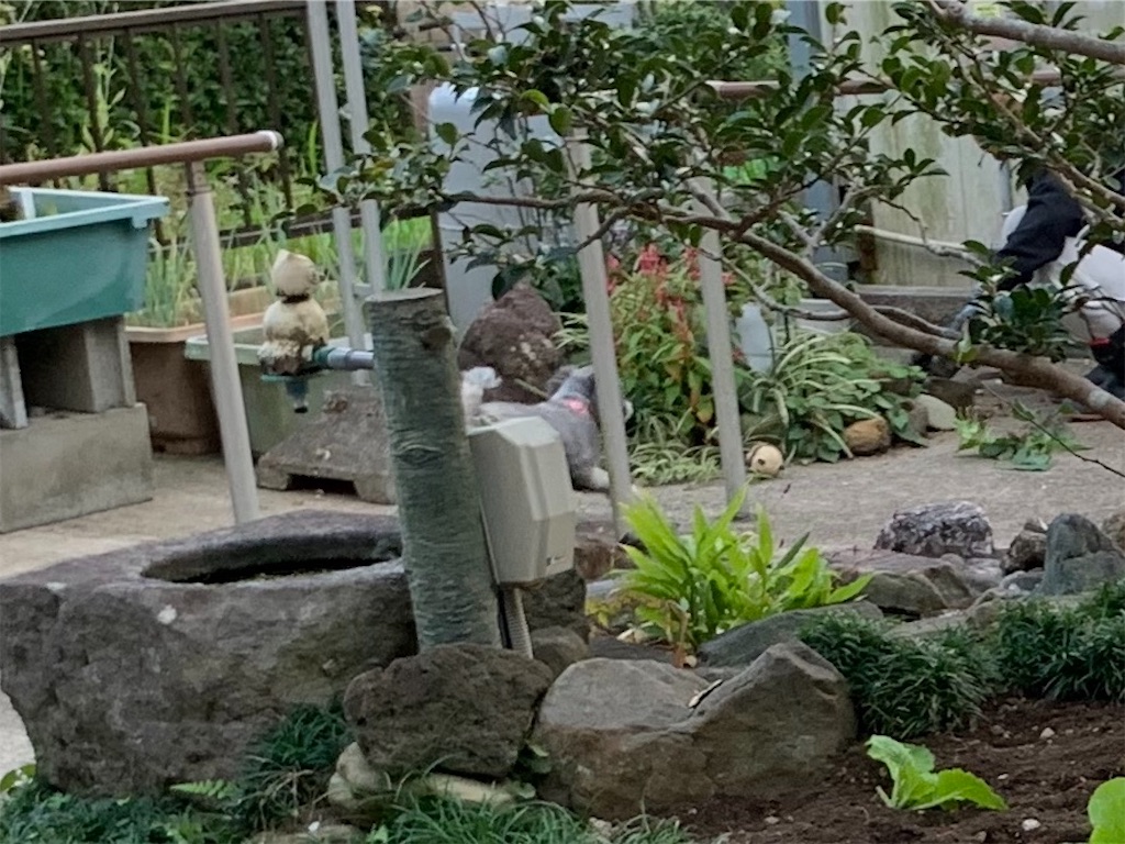 f:id:boogie-box:20191107135241j:image