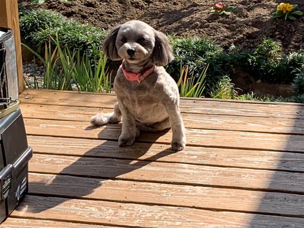 f:id:boogie-box:20191107195203j:image