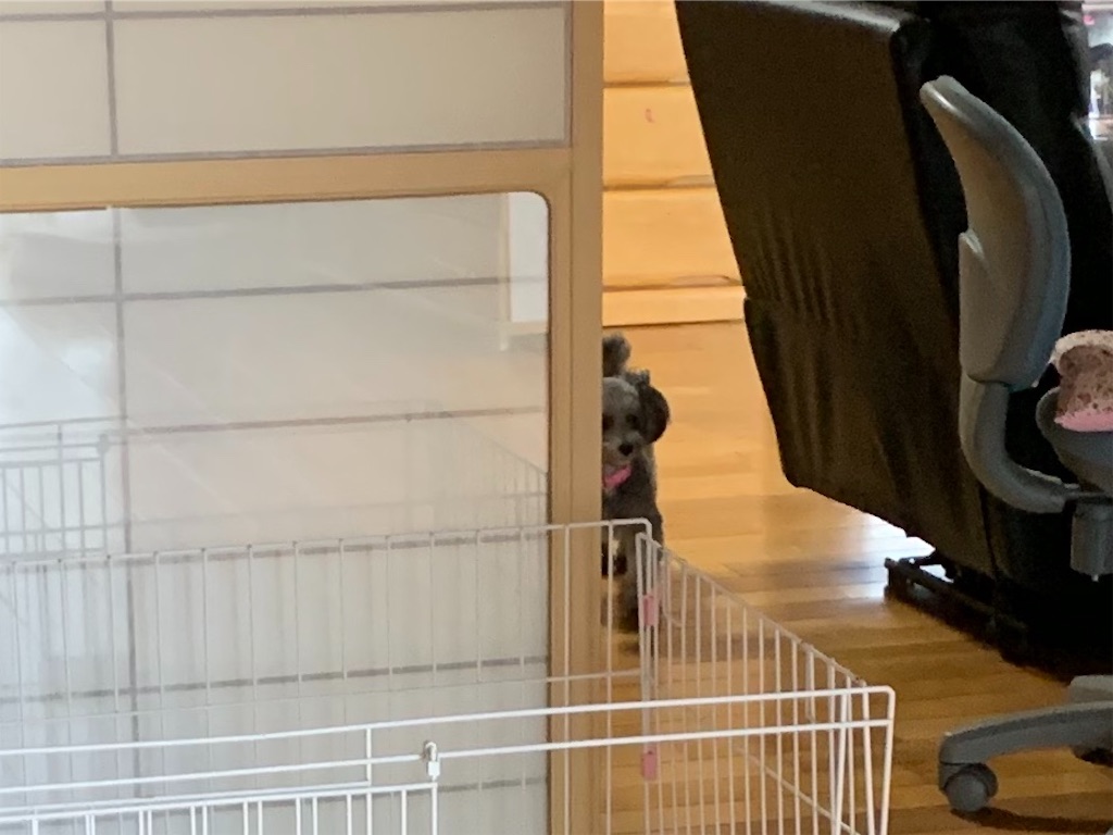 f:id:boogie-box:20191110104612j:image