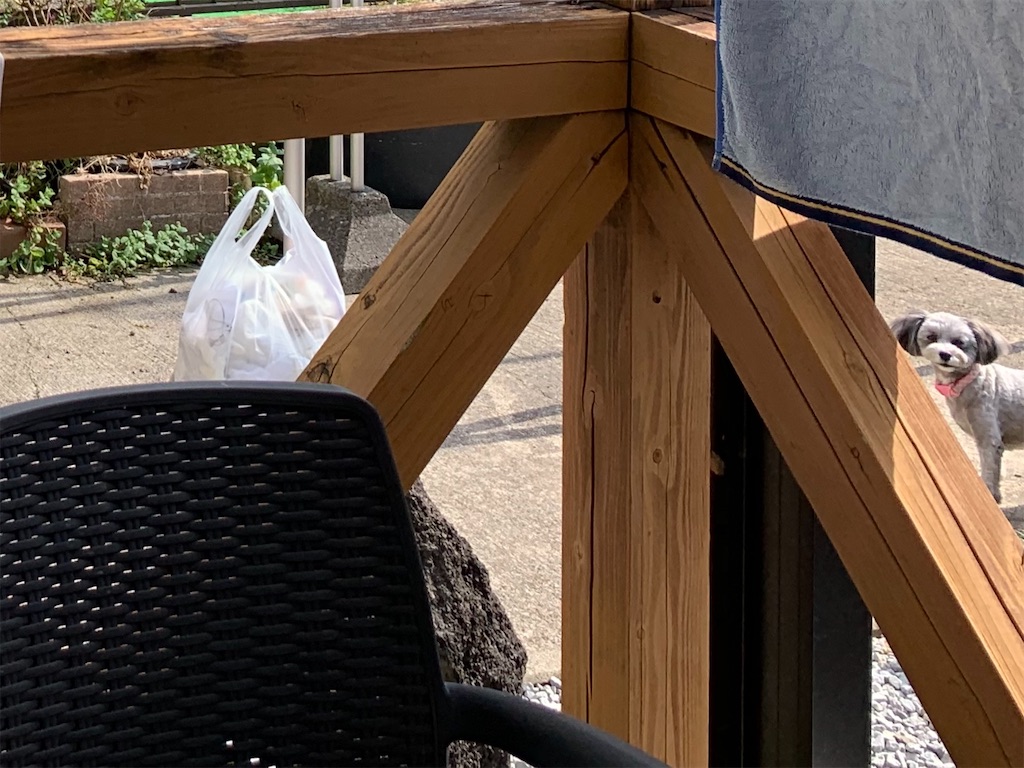 f:id:boogie-box:20191117111704j:image