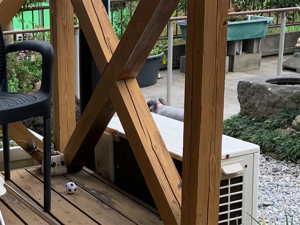 f:id:boogie-box:20191123122321j:image