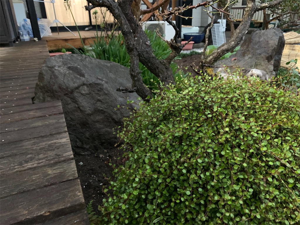 f:id:boogie-box:20191124112520j:image