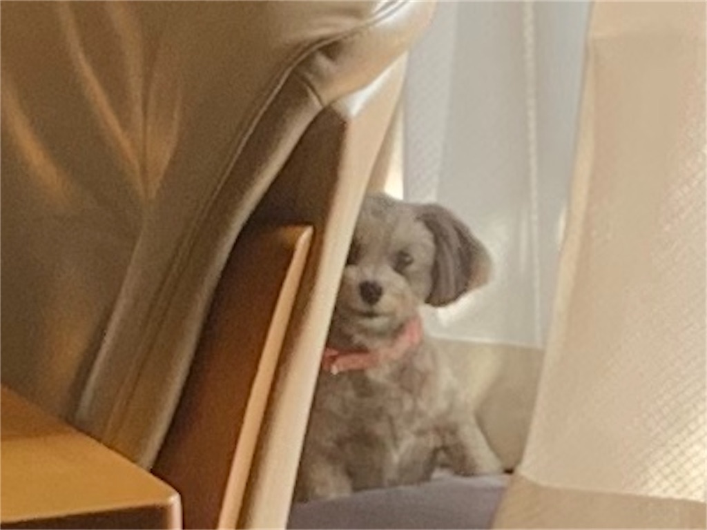 f:id:boogie-box:20191124112753j:image