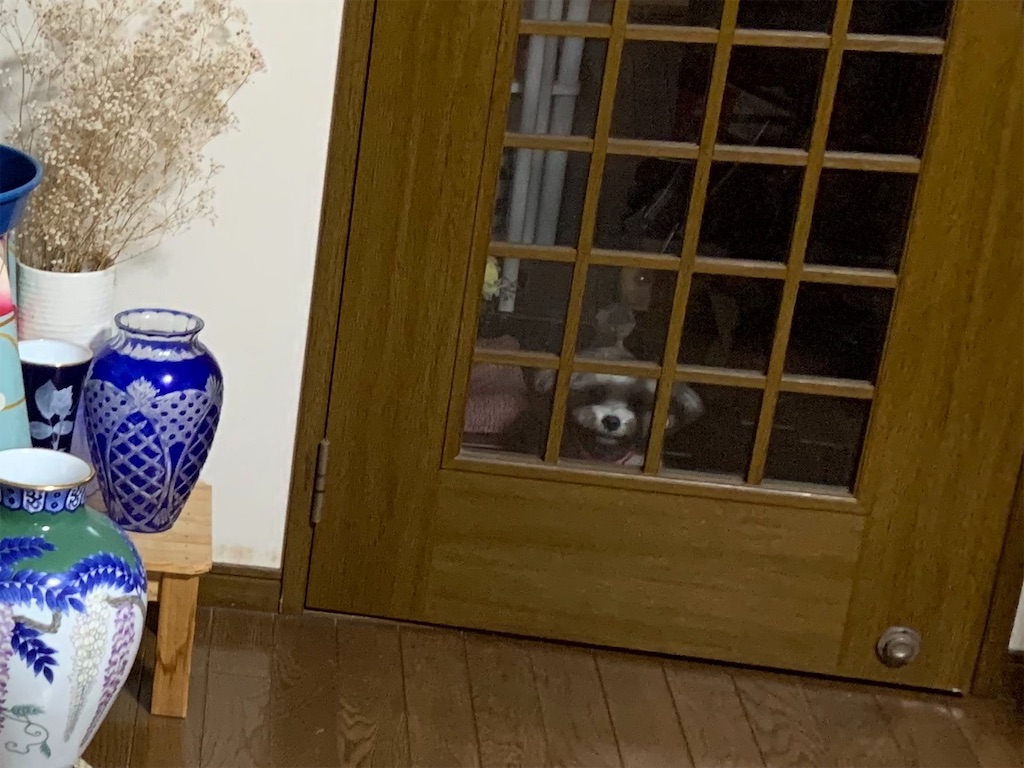f:id:boogie-box:20191127115333j:image
