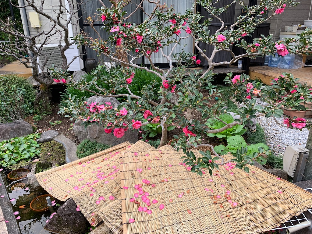 f:id:boogie-box:20191129112338j:image