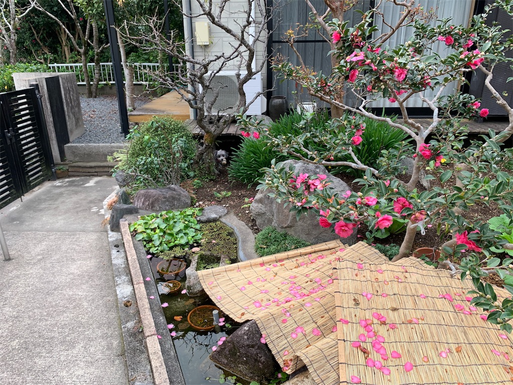 f:id:boogie-box:20191201171624j:image