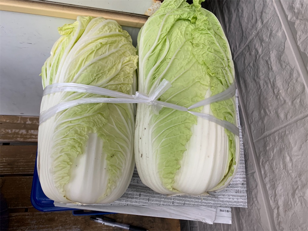 f:id:boogie-box:20191206224019j:image