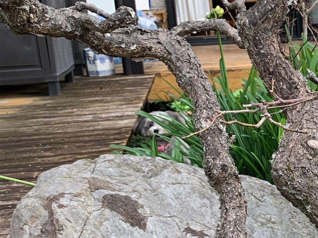 f:id:boogie-box:20191207111003j:image