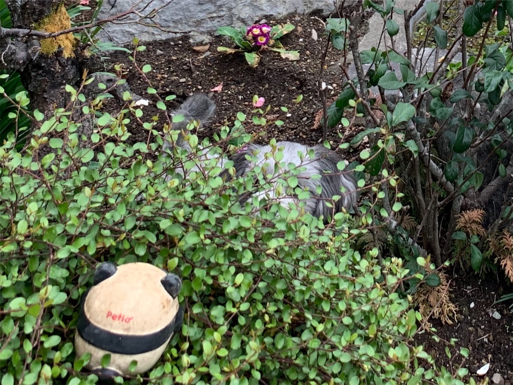 f:id:boogie-box:20191213155002j:image