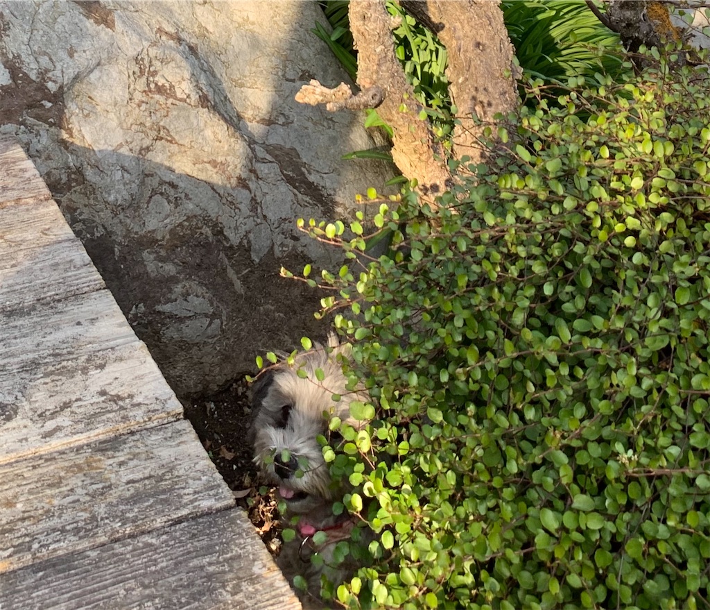 f:id:boogie-box:20191217151108j:image