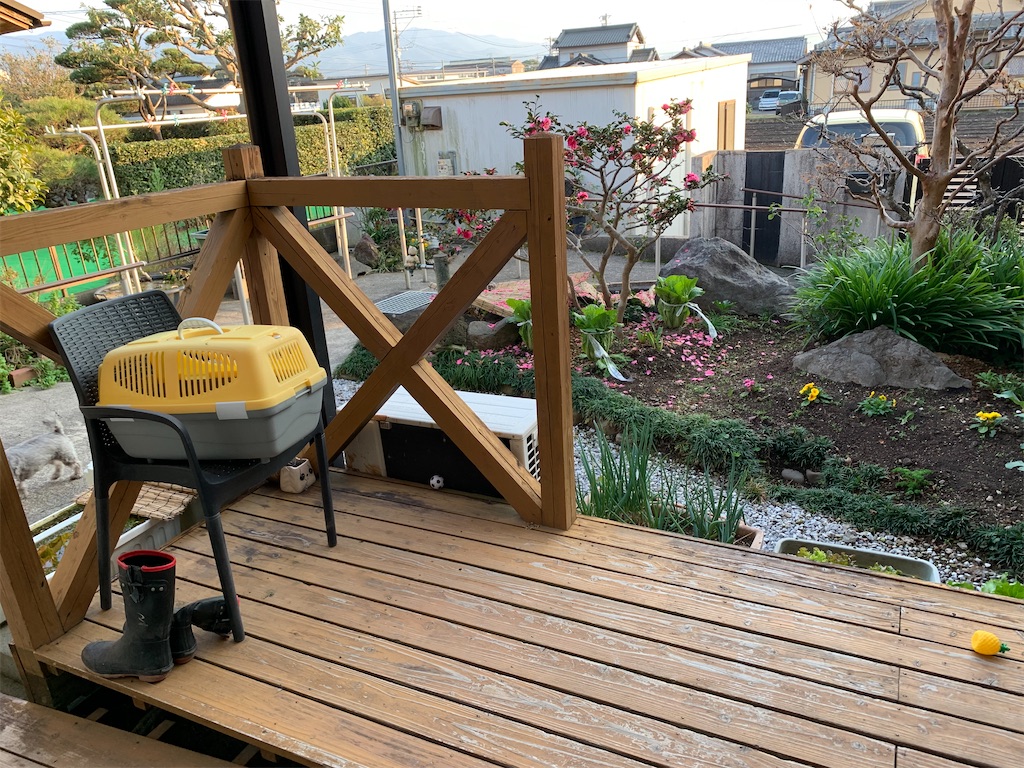 f:id:boogie-box:20191221154747j:image