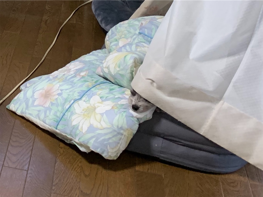 f:id:boogie-box:20191225145836j:image