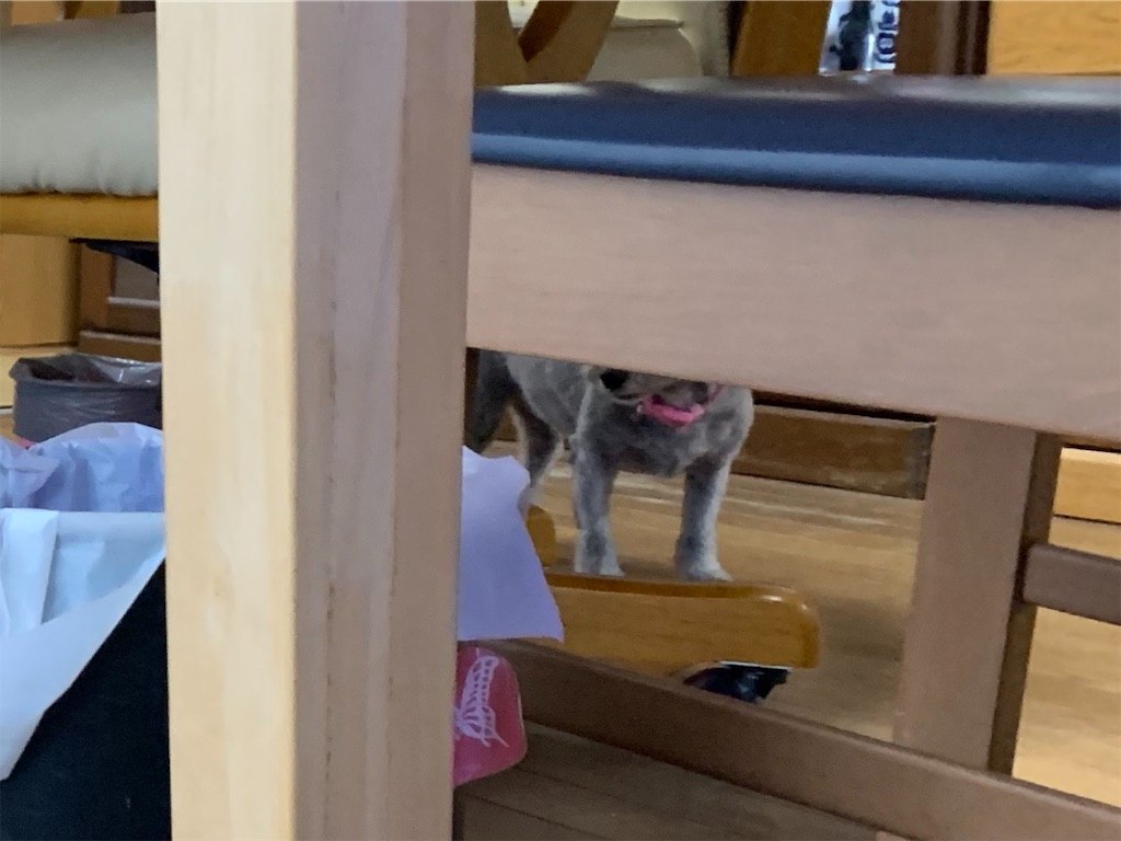 f:id:boogie-box:20191226111509j:image