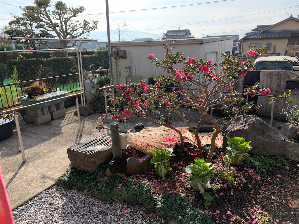 f:id:boogie-box:20191227155602j:image