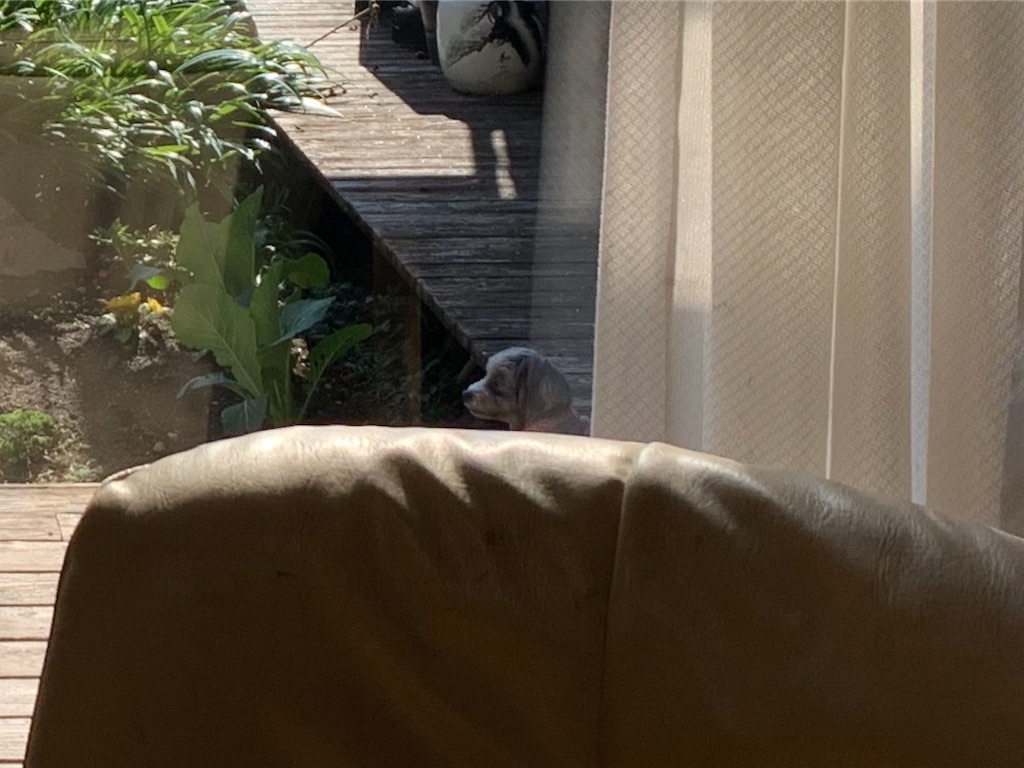 f:id:boogie-box:20191227155718j:image
