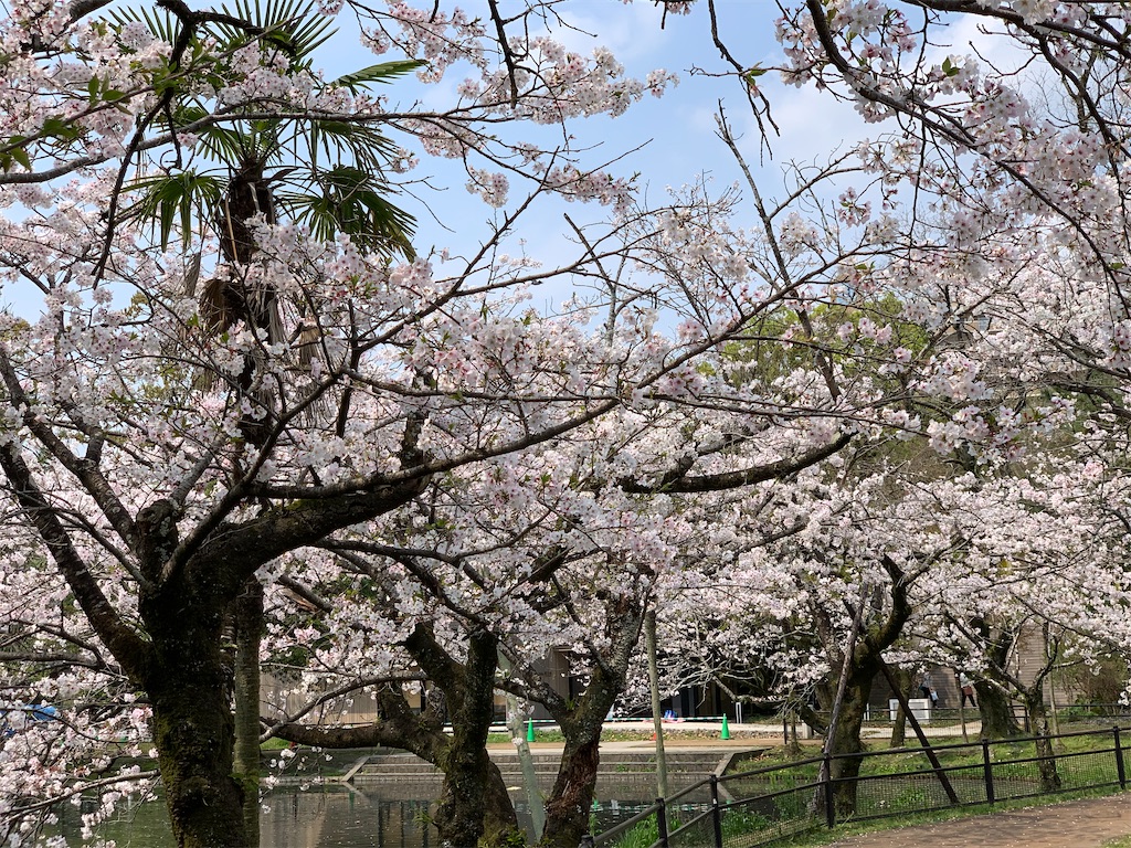 f:id:boogie-box:20200404220758j:image