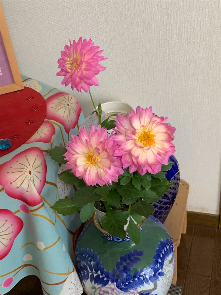 f:id:boogie-box:20200426095240j:image