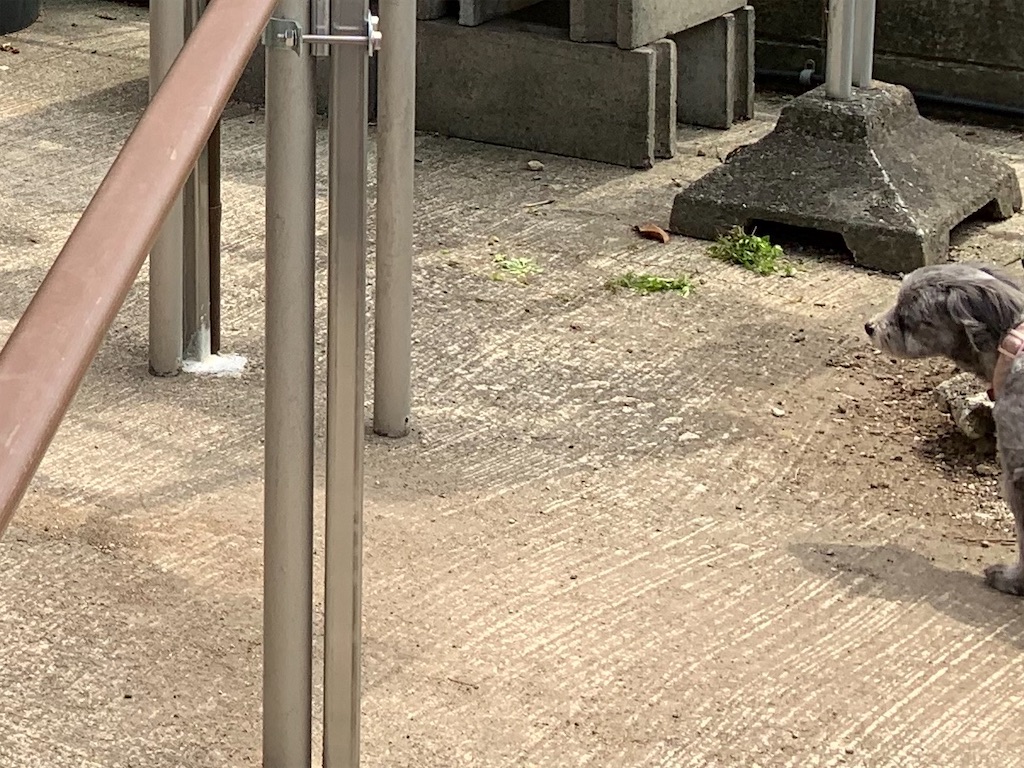 f:id:boogie-box:20200529133554j:image