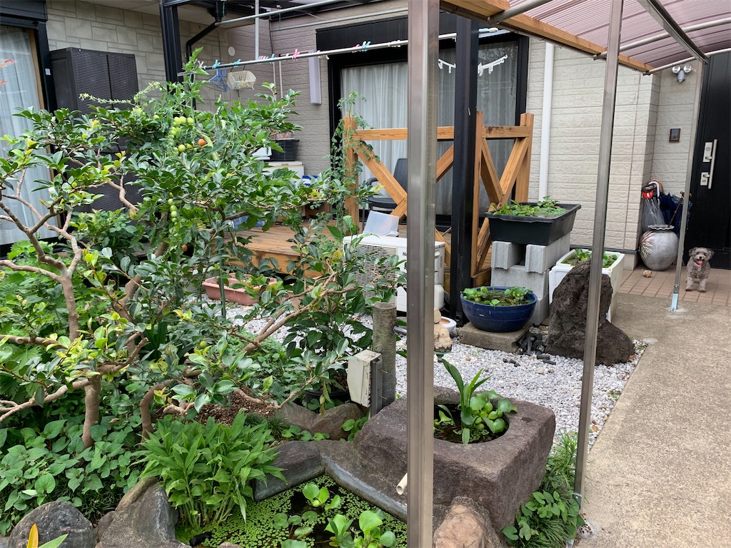 f:id:boogie-box:20200708200100j:plain