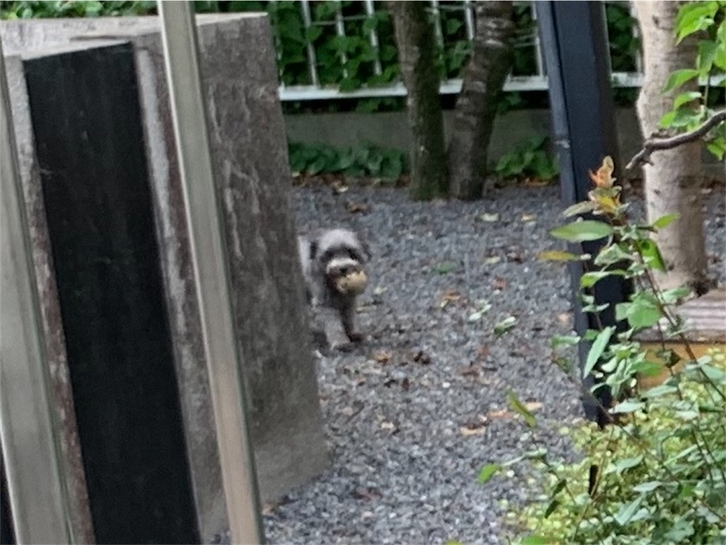 f:id:boogie-box:20200708202716j:plain