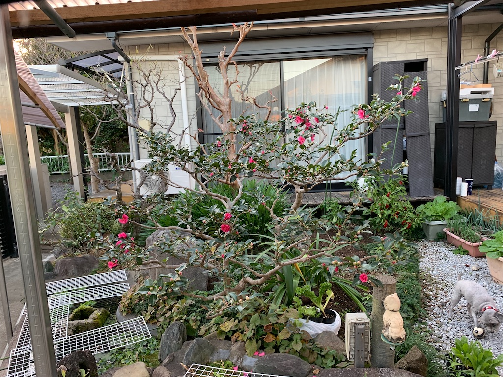 f:id:boogie-box:20201125203228j:plain