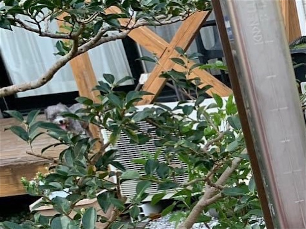 f:id:boogie-box:20211016091429j:image