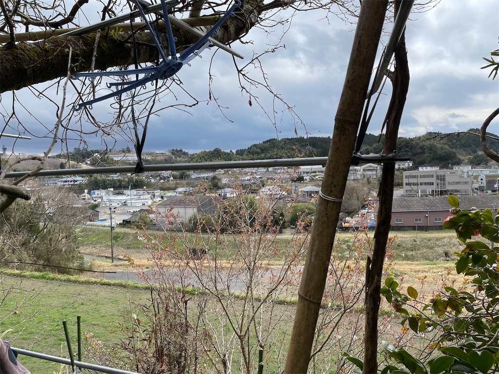 f:id:boogie-box:20220319213222j:image