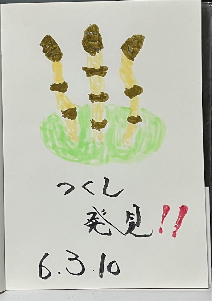 f:id:boogie-box:20240311205659j:image