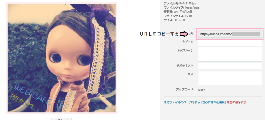 f:id:book-aoringo:20171223094138p:plain f:id:book-aoringo:20171223094138p:plain