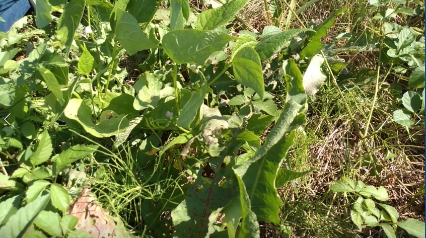 f:id:book_rubyring:20190811173231j:plain f:id:book_rubyring:20190811173231j:plain