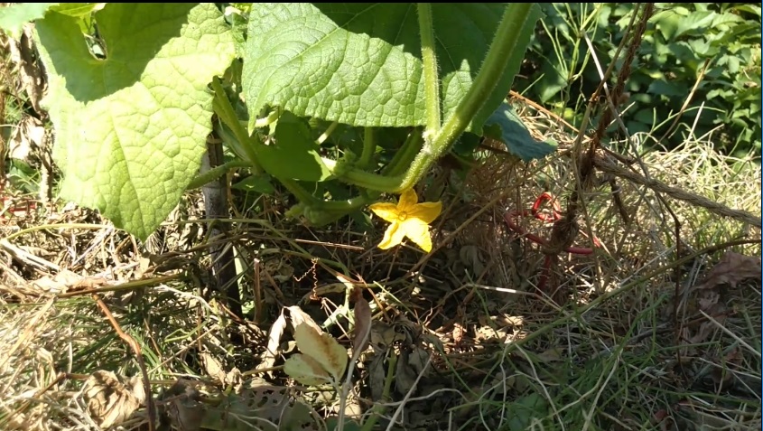 f:id:book_rubyring:20190811173408j:plain f:id:book_rubyring:20190811173408j:plain