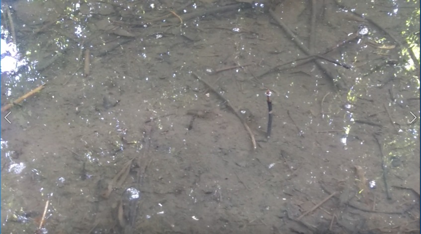 f:id:book_rubyring:20190811173715j:plain f:id:book_rubyring:20190811173715j:plain