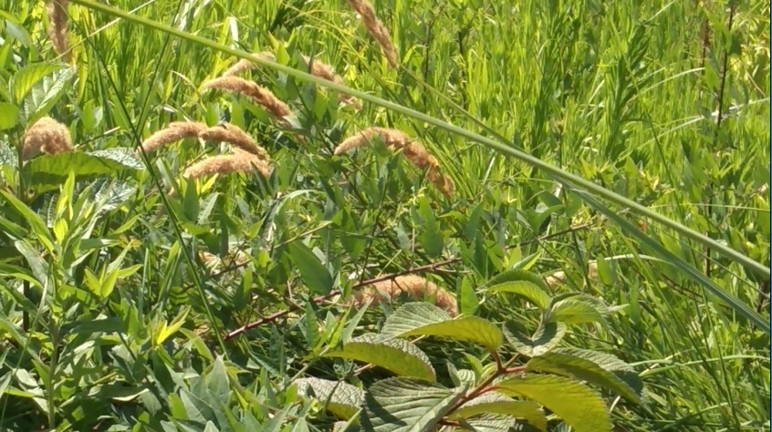 f:id:book_rubyring:20190811173822j:plain f:id:book_rubyring:20190811173822j:plain