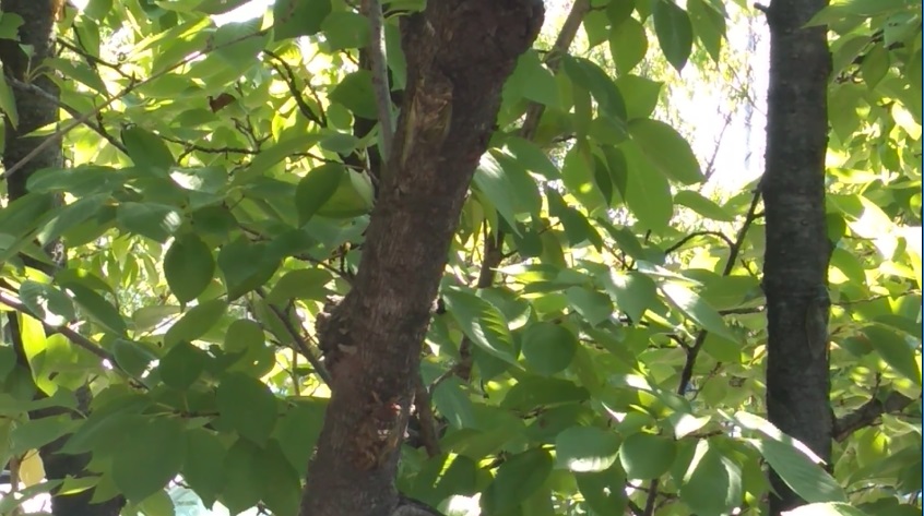 f:id:book_rubyring:20190811173839j:plain f:id:book_rubyring:20190811173839j:plain