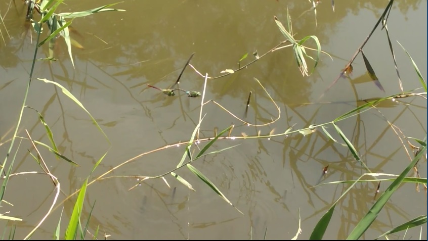 f:id:book_rubyring:20190811174114j:plain f:id:book_rubyring:20190811174114j:plain