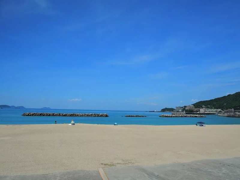 f:id:bookcafe911:20200905142503j:plain