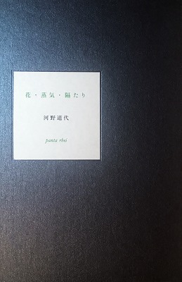 花・蒸気・隔たり 河野道代詩集 - bookface's diary