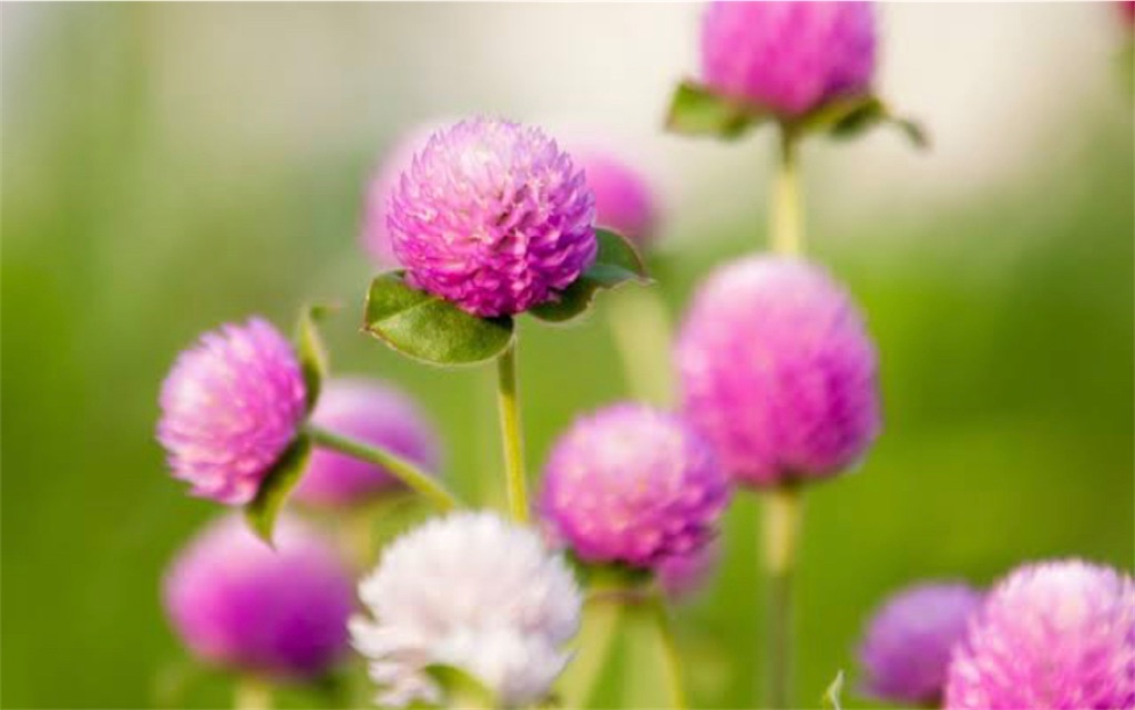 f:id:bookmarker330:20201023142124j:image