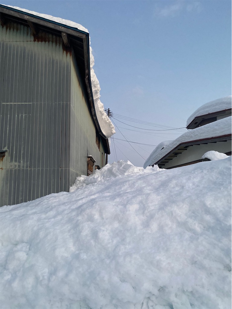f:id:bookmarker330:20210113172739j:image
