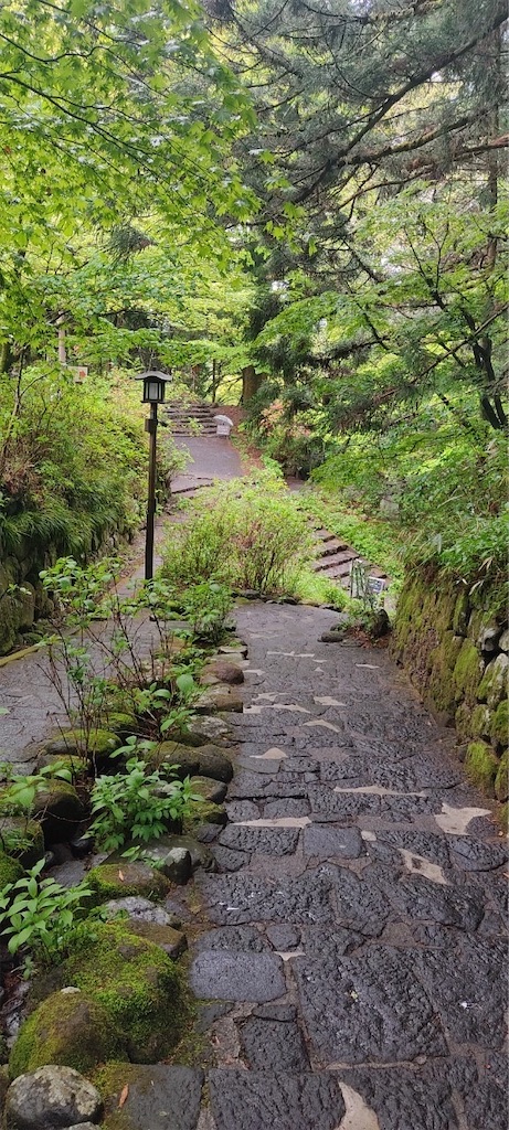 f:id:bookmarker330:20230430204701j:image
