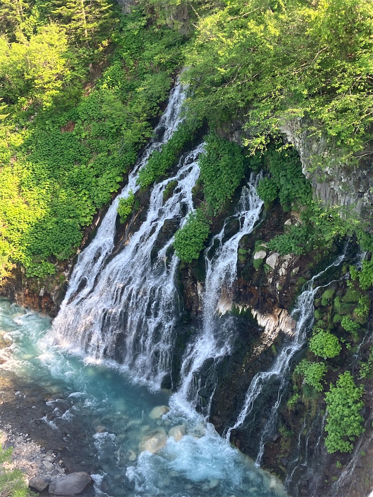 f:id:bookmarker330:20250601161255j:image